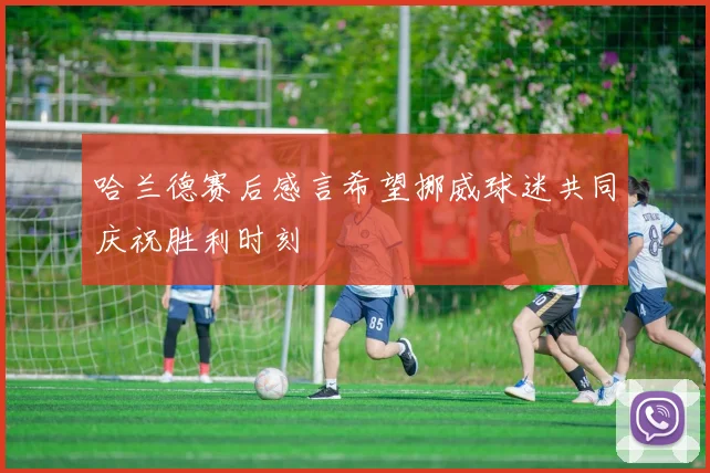 哈兰德赛后感言希望挪威球迷共同庆祝胜利时刻